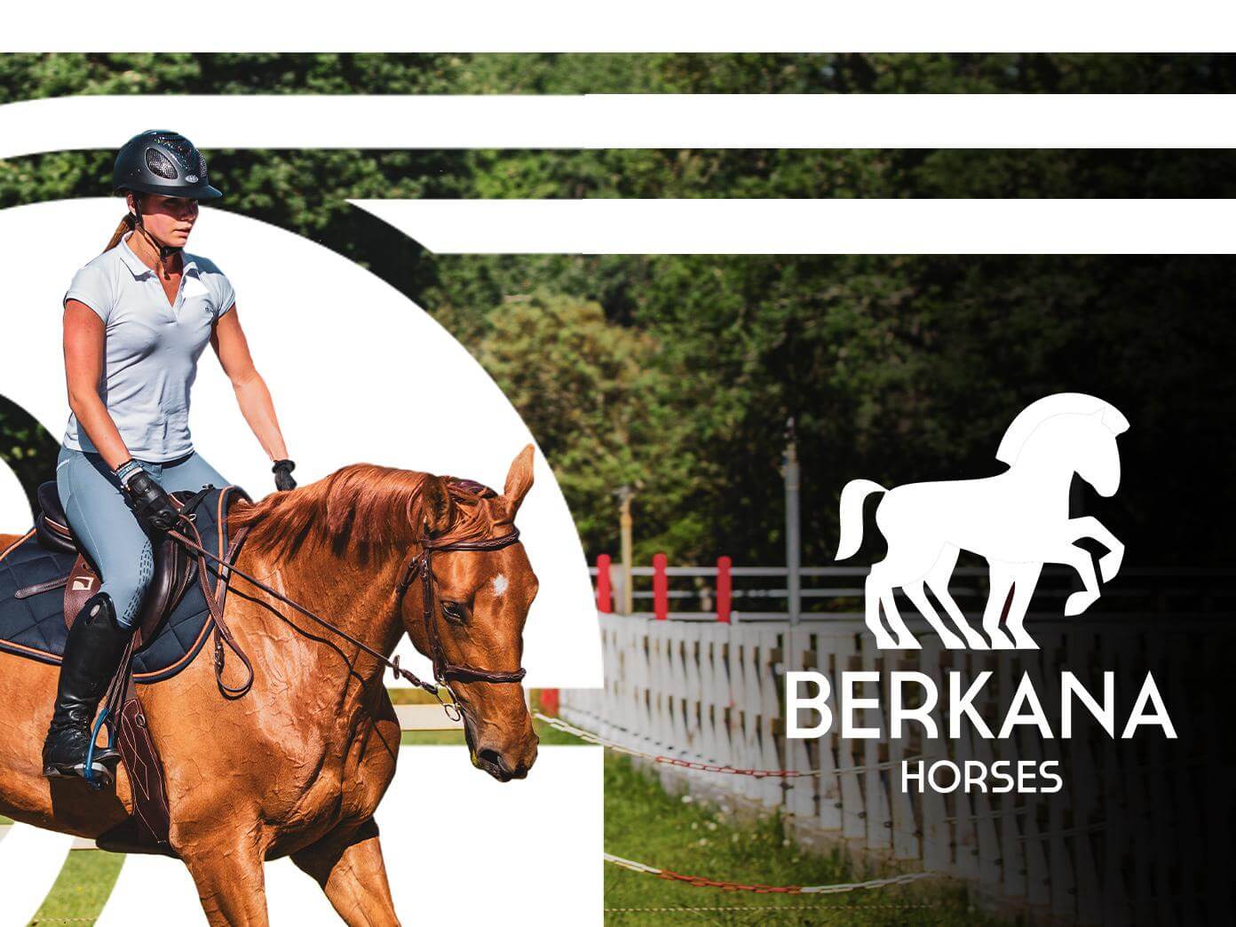 Фирменный стиль Berkana Horses