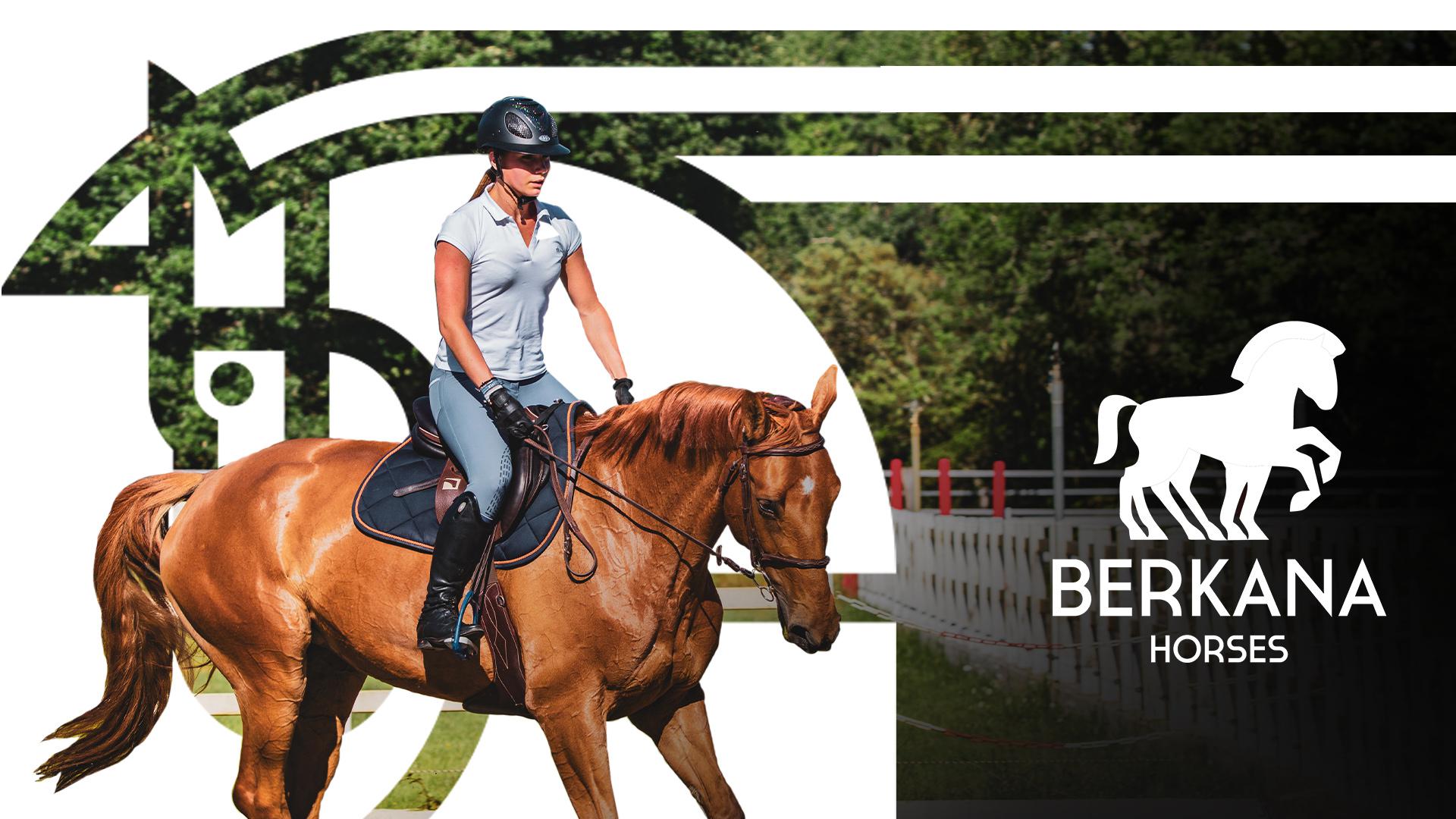 Фирменный стиль Berkana Horses Image 1