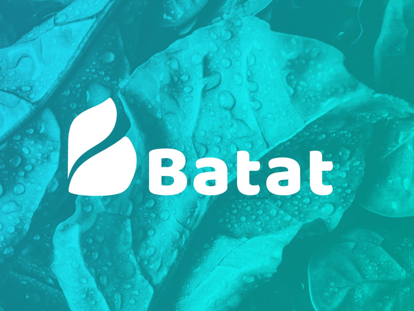 Брендбук ресторана Batat 